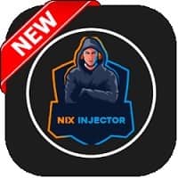 Nix Injector