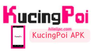 kucingpoi